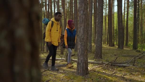 黑色夫妇手牵手走向湖边。非洲裔美国人徒步旅行，女人和男人领着人们走向森林中美丽的山 — 图库视频影像