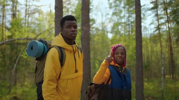 Schwarzes Paar hält Hände in Richtung See. afrikanisch-amerikanisches Wandervolk, Frau und Mann auf dem Weg zum wunderschönen Berg im Wald — Stockvideo