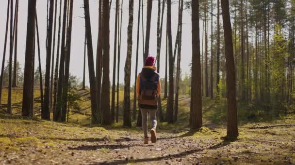 Mujer bonita eufórica con mochila turística caminando sola a través del bosque de verano naturaleza salvaje disfrutando de safari africano aventura de senderismo solo. Retratos — Vídeo de stock