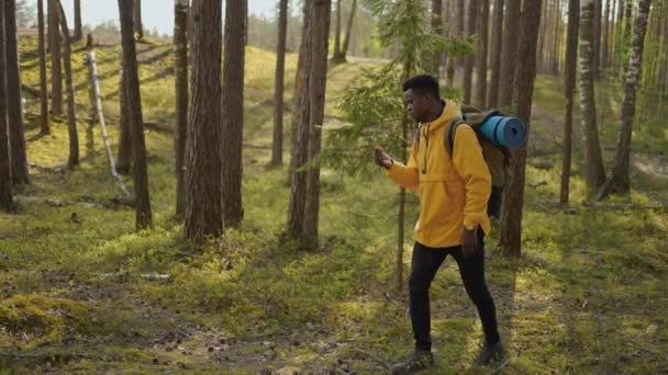 Hombres negros con mochila usando Smartphone Gps. Hombres afroamericanos caminando en el bosque y escribiendo mensaje en el teléfono inteligente. Caminante masculino solo usando un teléfono inteligente. Hombre excursionista toma teléfono inteligente de bosque. — Vídeo de stock