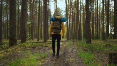 Turist sırt çantası teçhizatıyla yalnız seyahat eden Afro-Amerikan yürüyüşçü yakışıklı bir adam. Pozitif siyah turist vahşi doğayı keşfediyor.