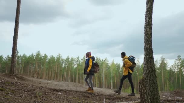 Svarta Par håller händerna gående mot sjön. Afrikanskt amerikanskt folk vandrar, kvinna och man leder vägen till vackra berg i skogen — Stockvideo