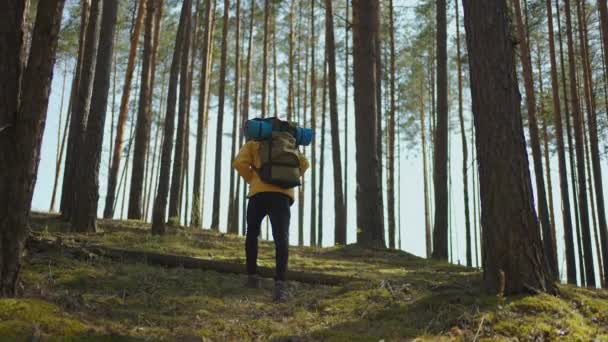 Schwarzafrikanische Männchen wandern auf einem Pfad den ruhigen üppigen grünen Hochwald hinauf, mit Sonnenfackeln, die von hinten geschossen werden. Schwarzer Mann wandert und erkundet Waldgebiet — Stockvideo