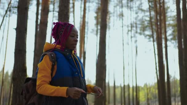 Euforica bella donna con zaino turistico camminare da solo attraverso la foresta estiva natura selvaggia godendo safari africano avventura escursionistica da solo. Ritratti — Video Stock