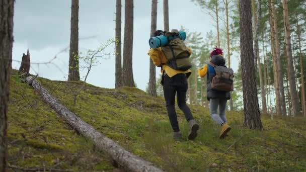 森の中の風景を眺めながらバックパックを歩く2人のアフリカ系アメリカ人の旅行ハイカー。カップル黒男と女取る携帯電話旅行探索野生の森自然でチーム — ストック動画
