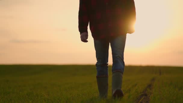 Lento-movimento close-up de agricultores botas andar em todo o campo ao pôr do sol — Vídeo de Stock