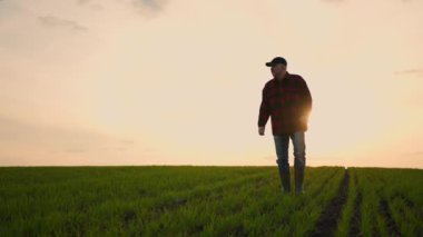 Yürüyen bir çiftçi traktör sürücüsü günbatımında bir gün sonra tarlada ağır çekimde yürüyor.