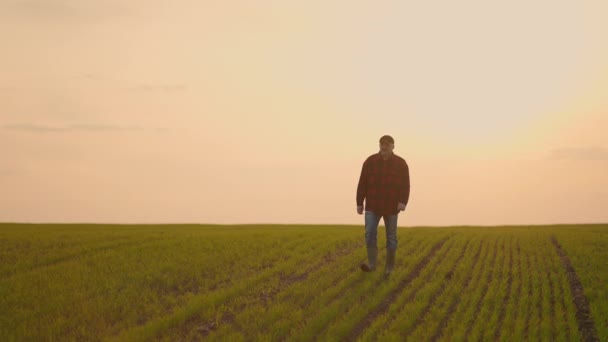 Idosos agricultor trator masculino ao pôr do sol caminha através do campo em câmera lenta após o trabalho dias — Vídeo de Stock