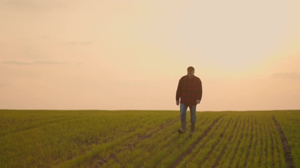 Elderly mâle tracteur agriculteur au coucher du soleil marche à travers le champ au ralenti après le travail de jours — Video