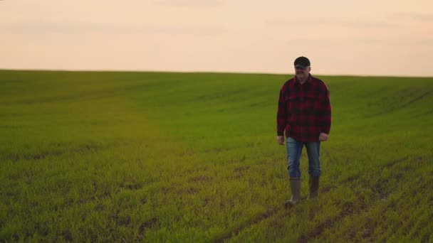 Caminhe no campo em câmera lenta após o trabalho. Agricultor verifica a colheita após o plantio e trator de trabalho ao pôr do sol — Vídeo de Stock