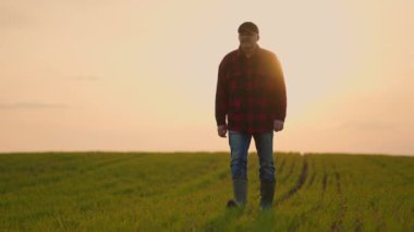 Gün batımında yaşlı erkek traktör çiftçisi günler sonra ağır çekimde tarlada yürüyor.