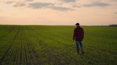 Yürüyen bir çiftçi traktör sürücüsü günbatımında bir gün sonra tarlada ağır çekimde yürüyor.