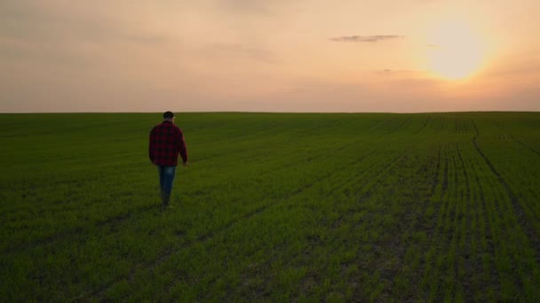 Idosos agricultor trator masculino ao pôr do sol caminha através do campo em câmera lenta após o trabalho dias — Vídeo de Stock