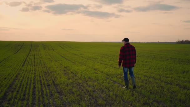 Un agriculteur marcheur chauffeur de tracteur au printemps au coucher du soleil après une journée de travail marche sur le terrain au ralenti — Video