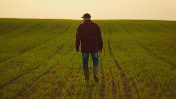 Retrato de um trator agricultor caminhando através de um campo ao pôr do sol depois de um tiro em câmera lenta — Vídeo de Stock