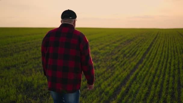 Um agricultor ambulante motorista de trator na primavera ao pôr do sol depois de um dia de trabalho caminha no campo em câmera lenta — Vídeo de Stock