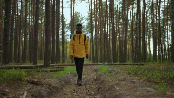 Hombre guapo senderista afroamericano con equipo de mochila turística que viaja solo. Turista negro positivo explora la naturaleza salvaje. — Vídeos de Stock