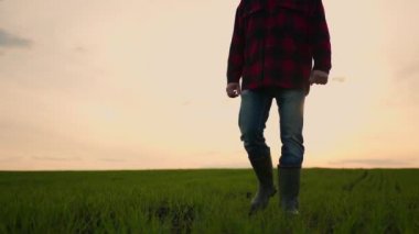 Bir işadamı çiftçilerin tarladaki çalışmalarını yavaş çekimde izlemektedir. Traktör sürücülerinin çalışmalarını kontrol et