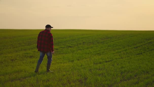 Tôt le matin, un agriculteur va travailler dans un champ et inspecte le travail effectué pour un conducteur de tracteur et contrôle son entreprise — Video