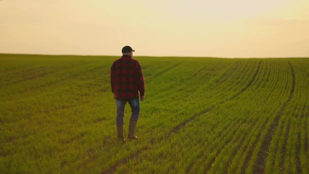 Un conductor de tractor que trabaja camina en un campo de plantones después de un día de trabajo en cámara lenta. Ir amanecer al trabajo — Vídeos de Stock