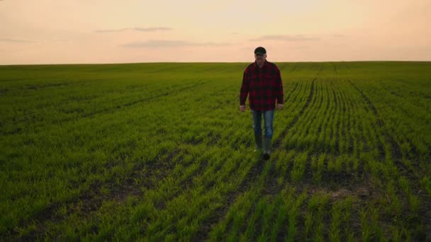 Tôt le matin, un agriculteur va travailler dans un champ et inspecte le travail effectué pour un conducteur de tracteur et contrôle son entreprise — Video