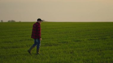 Çalışan bir traktör sürücüsü bir gün ağır çekimde çalıştıktan sonra fidan tarlasında yürür. Gün doğumuna git.