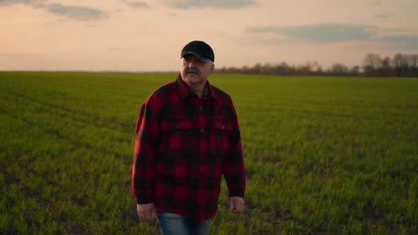 Tôt le matin, un agriculteur va travailler dans un champ et inspecte le travail effectué pour un conducteur de tracteur et contrôle son entreprise — Video