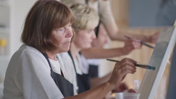 Som äldre vänner som går på målarkurs tillsammans. liten grupp tar en mängd roliga klasser tillsammans. En grupp äldre människor deltar i en master klass på att rita tillsammans tillbringa tid. — Stockvideo