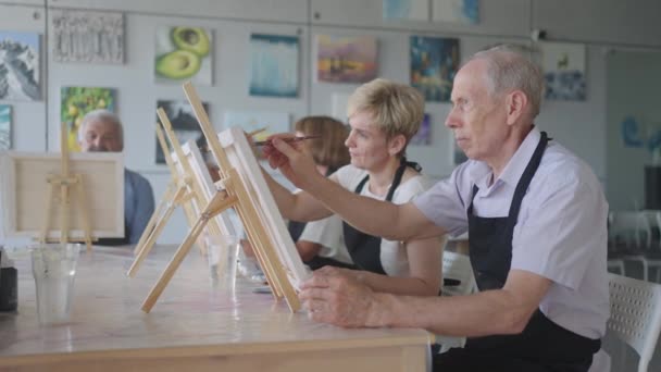 Som äldre vänner som går på målarkurs tillsammans. liten grupp tar en mängd roliga klasser tillsammans. En grupp äldre människor deltar i en master klass på att rita tillsammans tillbringa tid. — Stockvideo