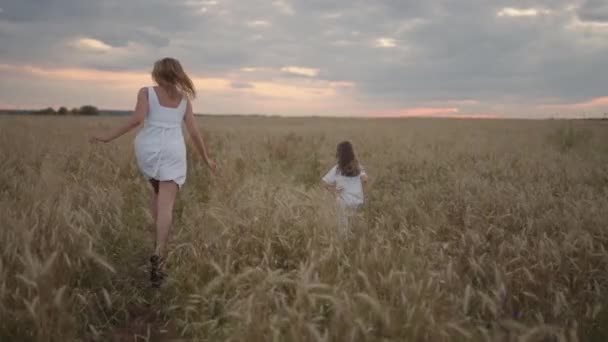 Filha e mãe sonham juntos correm no campo de trigo ao pôr-do-sol. pessoas felizes da família no conceito de campo de trigo. Mãe e menina jogando catch-up run. bebê criança diversão correndo no prado verde. — Vídeo de Stock