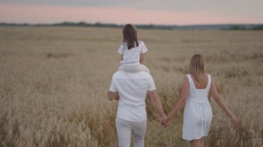 Yavaş çekim: Çocuklu mutlu çiftçi ailesi buğday tarlasında yürüyor. Sağlıklı anne, baba ve küçük kız birlikte doğanın tadını çıkarıyorlar..
