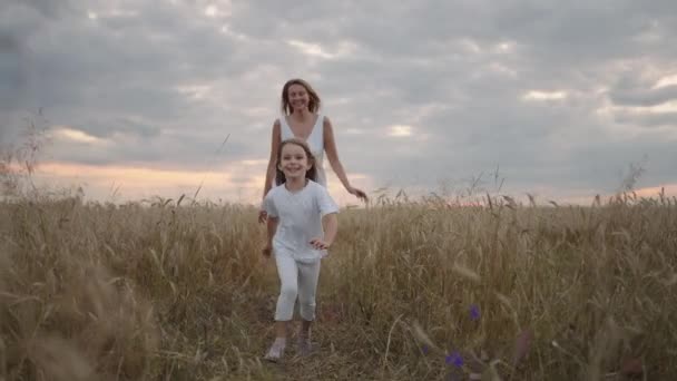 Dotter och mor drömmer tillsammans springa i vetefältet vid solnedgången. lyckliga familjemedlemmar i vetefält konceptet. Mamma och flicka spelar catch-up. baby barn kul kör på grön äng. — Stockvideo