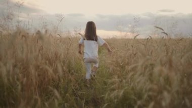 Kamera 4-5 yaşındaki küçük bir kızı gün batımında altın çivili bir tarlada mutlu ve özgür bir şekilde koşarken izliyor. Mutlu bir çocukluk. Saçlar gün ışığında gelişir.