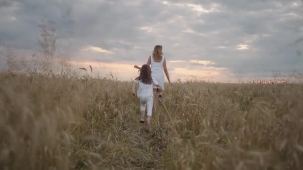 Dochter en moeder dromen samen in het tarweveld bij zonsondergang. gelukkige familie mensen in het tarweveld concept. Mam en meisje spelen inhaalrace. baby kind plezier lopen in groene weide. — Stockvideo