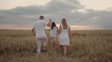 Yavaş çekim: Çocuklu mutlu çiftçi ailesi buğday tarlasında yürüyor. Sağlıklı anne, baba ve küçük kız birlikte doğanın tadını çıkarıyorlar..