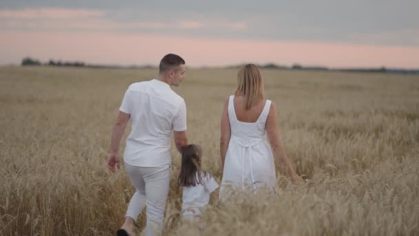 Rallentatore: famiglia felice di agricoltori con bambino, stanno camminando sul campo di grano. Madre sana, padre e figlia piccola godendo la natura insieme, all'aperto. — Video Stock