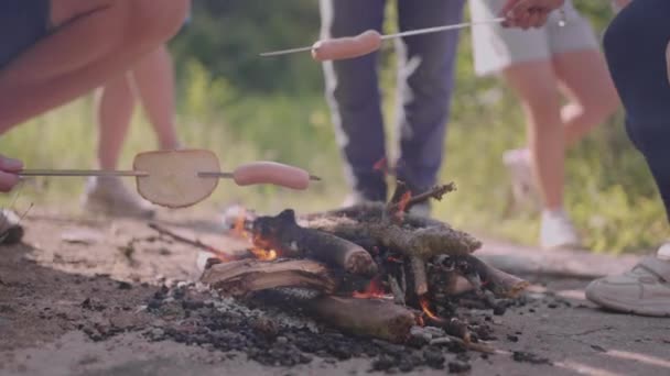 I bambini su un'escursione di campo estiva friggono salsicce su un falò — Video Stock