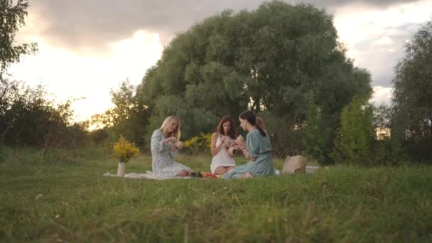 Um grupo de mulheres jovens concentra-se em desenhar padrões em produtos de barro com a ajuda de ferramentas em um prado, na natureza, em um parque, em um espaço aberto. Visão geral, zoom da câmera. — Vídeo de Stock