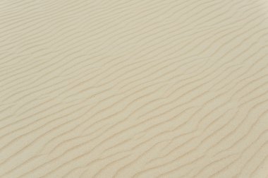 kum dalgaları arka plan