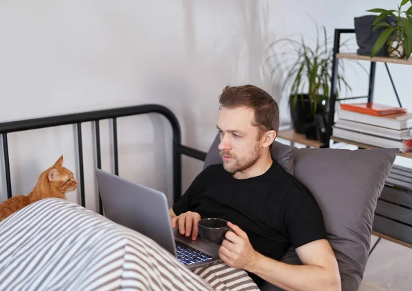 매력적 턱수염을 남자가 침대에 근처에 고양이와 노트북으로 일하고 집에서 일하거나 — 스톡 사진