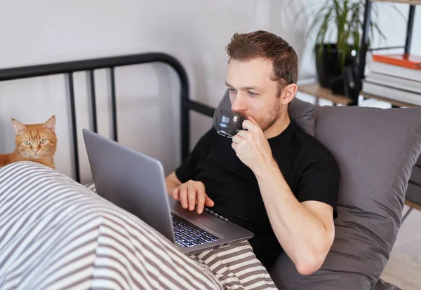 집안의 사무실에 커피를 마시고 남자가 집고양이와 노트북에서 일하고 있습니다 가내적 — 스톡 사진