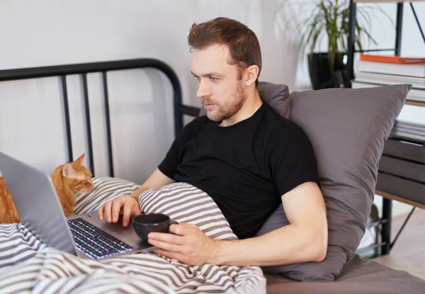 Young bearded man working on laptop lying on a bed under blanket with ginger cat near it. Work at home, online studying or shopping concept