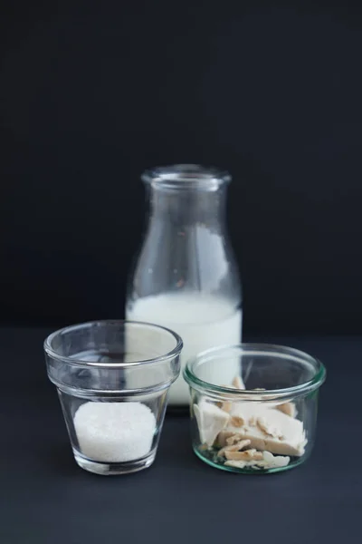 Yeast dough ingredients concept: sugar, wild yeast, milk — Stock Photo, Image