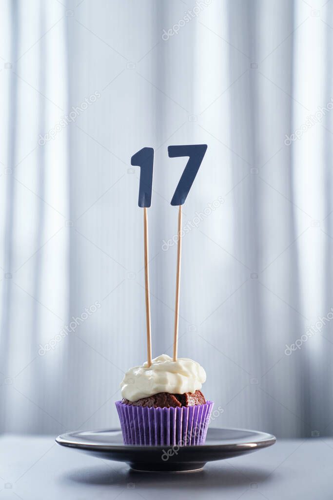 Chocolate birthday cupcake with number 17 seventeen