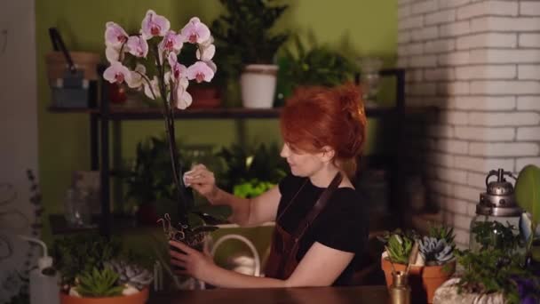 Mujer florista sosteniendo maceta con orquídea en floristería — Vídeos de Stock