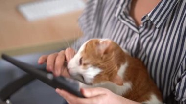 Tablet kullanan tişörtlü bir kız ve elinde küçük bir kedi.