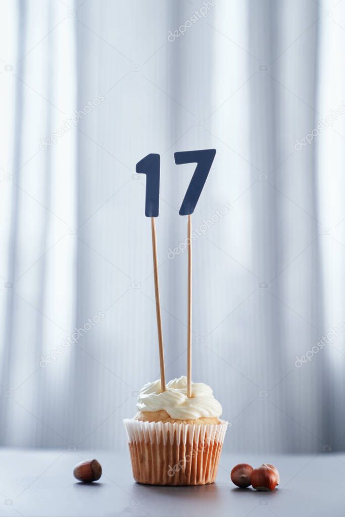 Birthday homemade vanilla cake with number 17 seventeen