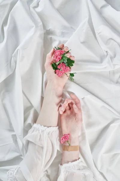 Aesthetic hands holding pink flowers on white background