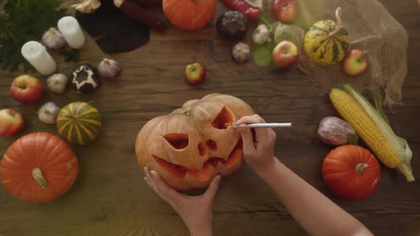 Concepto de Halloween. Vista superior de la mujer tallado calabaza — Vídeos de Stock