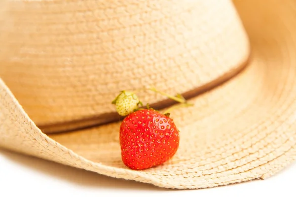 Gardening background — Stock Photo, Image